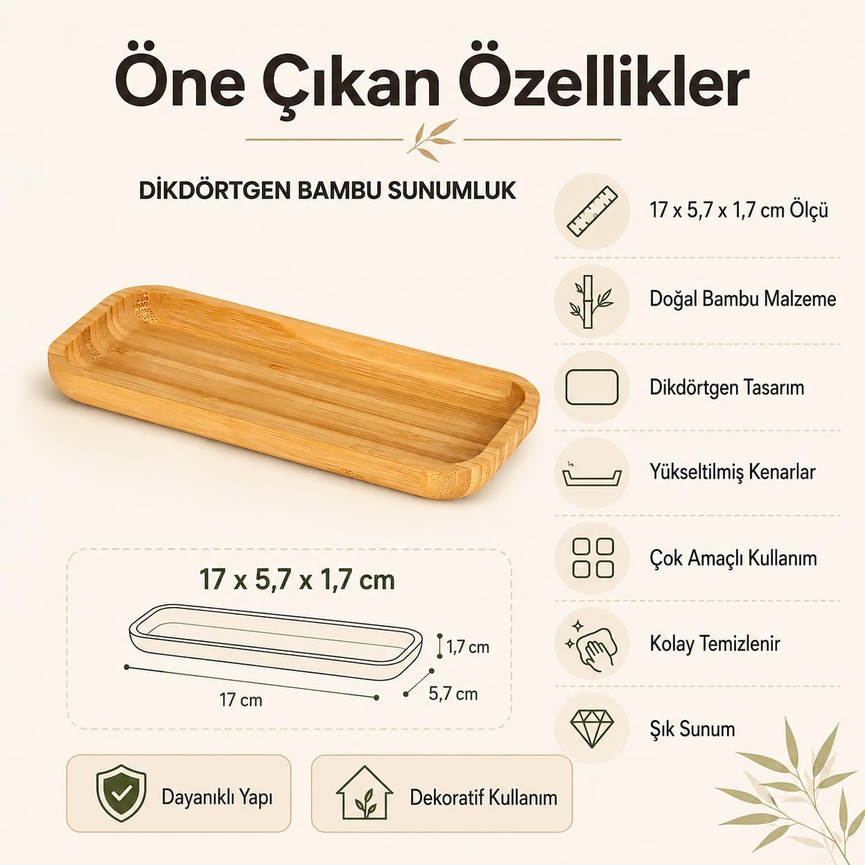 61D9G4Sy1KL.jpg blank