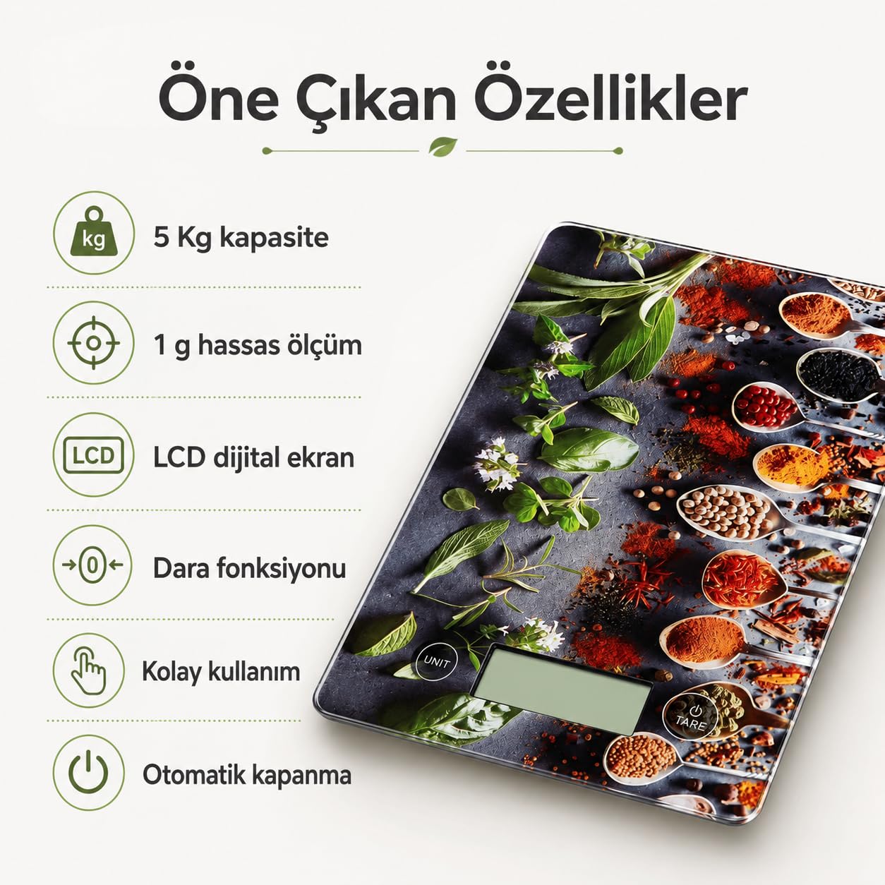 71fVyROGRoL.jpg blank